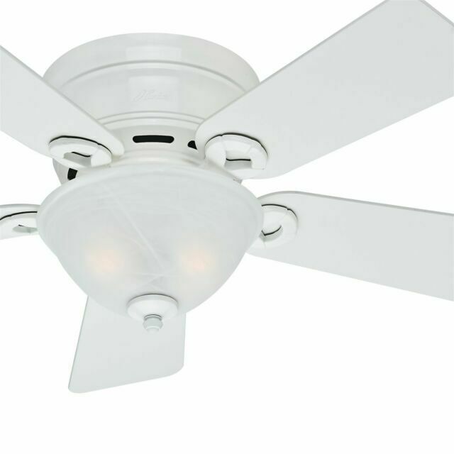 Ceiling Fan with Light Kit Indoor Outdoor Downrod Hunter Fan 42 .