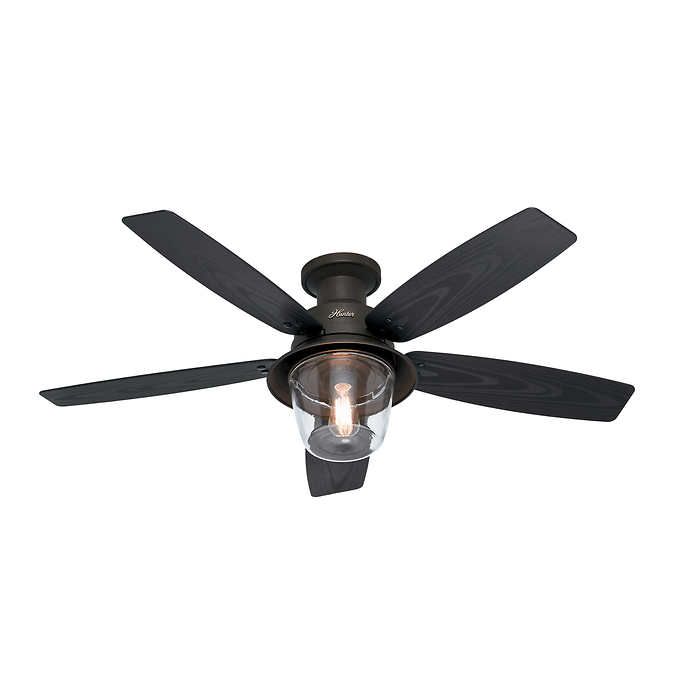 Hunter Fan Alleghany 52” Indoor/Outdoor Ceiling Fan $139.99 Costco .