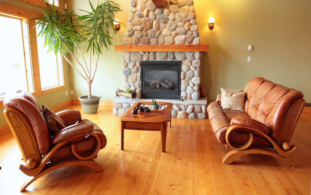 Natural living room with leather armchair
