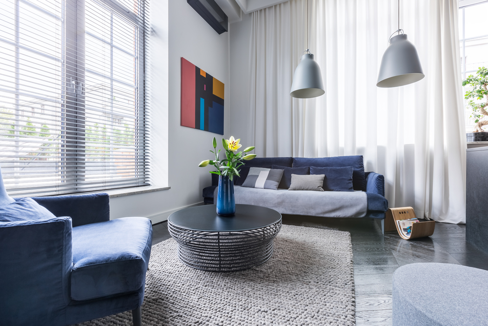 Gray, light living room style