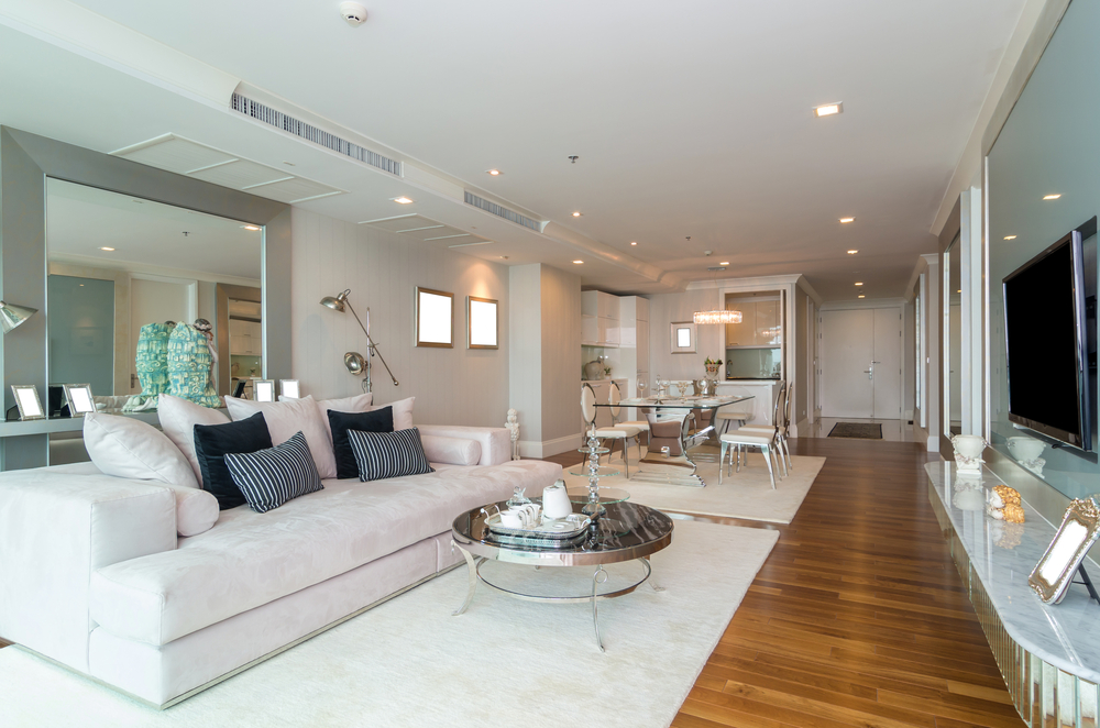 Clear minimalist long living room