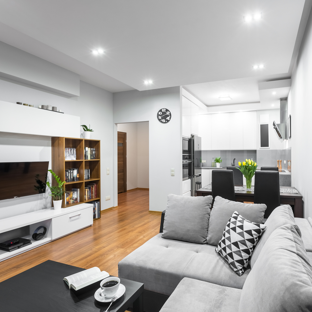 Mixed modern living room