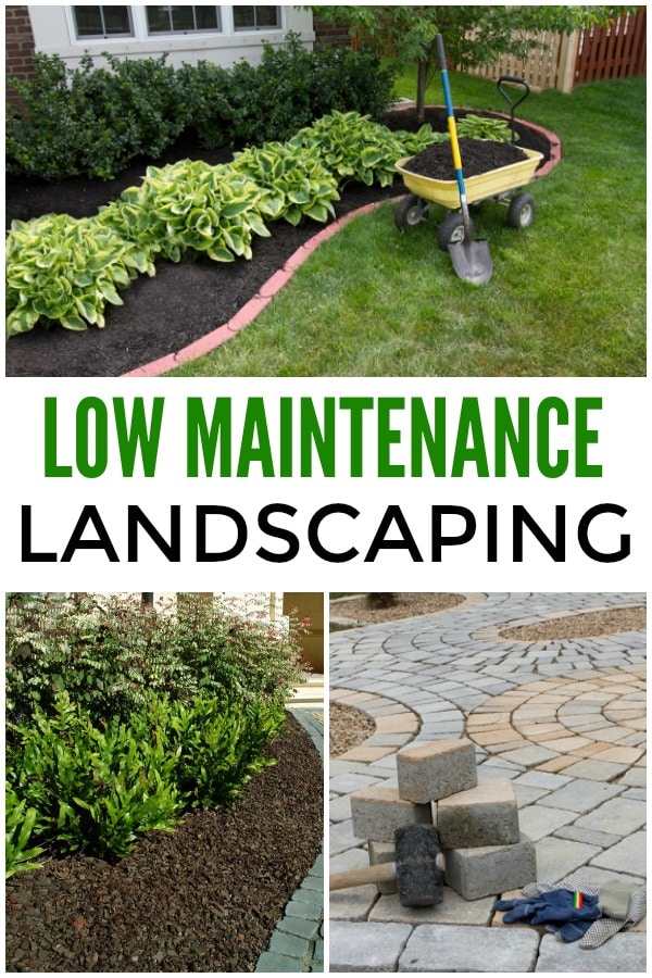low maintenance landscaping ideas DVRUSRW