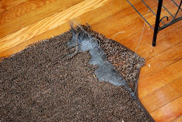 Polypropylene carpets How to buy a carpet: Polypropylene harmful AMBKUAX