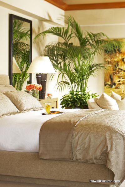 Tropical bedroom - simple, mostly neutral.  since you got married.