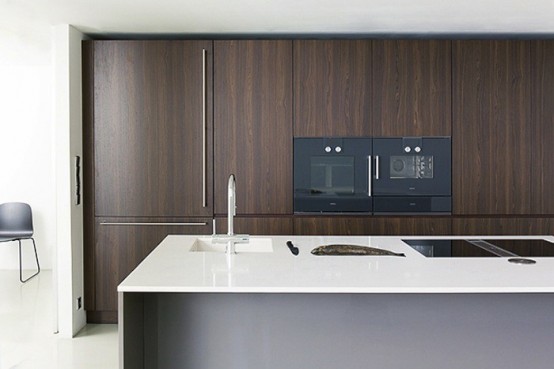 Kitzen Kitchen Systems to keep clutter out of sight - DigsDi