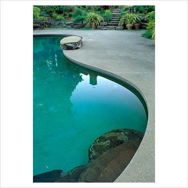 Pin by Teri P on curves, nice curves |  Pool, modern pools.