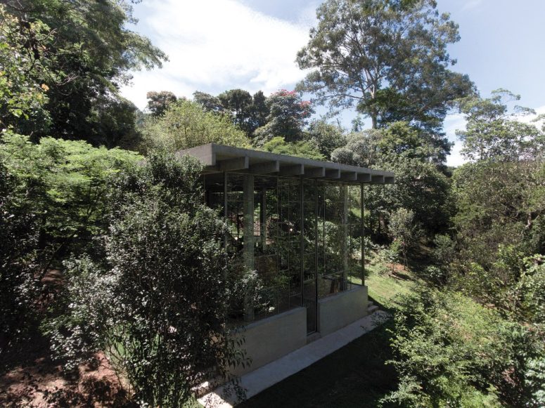 Glass and concrete rainforest retreat for a philosopher - DigsDi