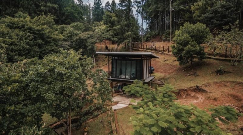 A remote off-grid cabin is lifted off the forest floor with tree trunk.