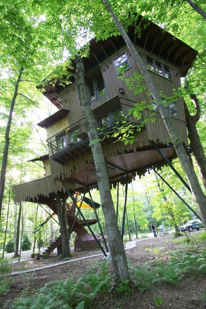 Winvian, Hartford, CT: Five Star Alliance |  Unique huts, tree.