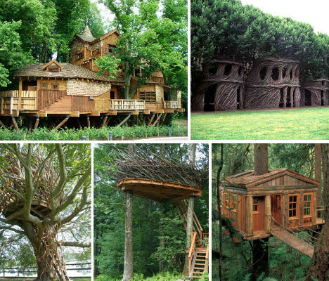 _ °) Scrapbook of minuses: Branch: 20 organic tree houses.