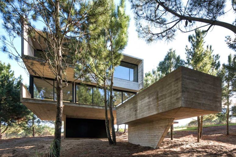 Minimalist house in the trees that defy gravity |  house styles.