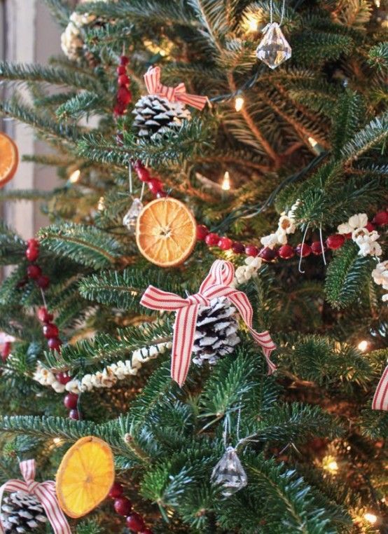 30 Aromatic Citrus Christmas Decorations You'll Love |  Christmas.