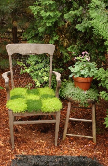 37 Cool Spring Moss Decorating Ideas for Outdoors and Indoors |  Garden .