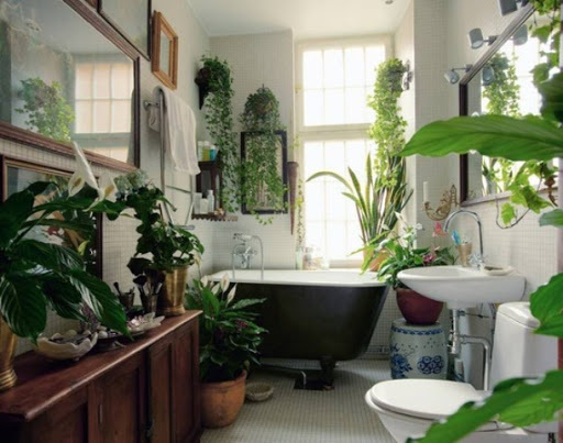 Bathroom design ideas with plants and flowers |  Fresh Home Bl