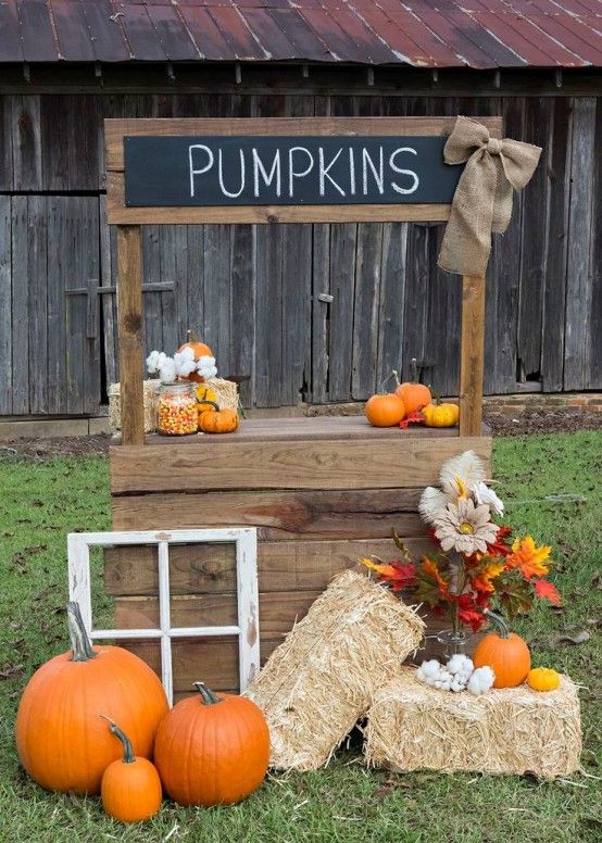 Autumn pumpkin represents outdoor and indoor decor