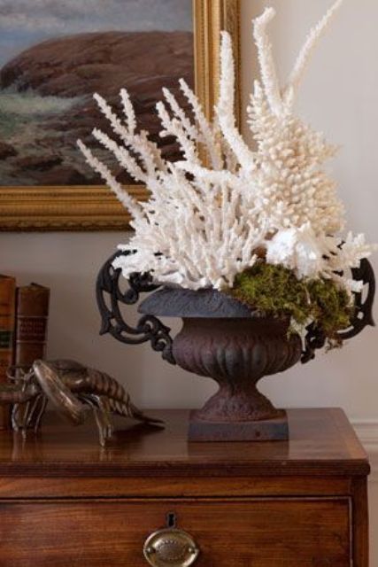 Decorate with stylish ideas of sea corals