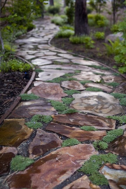 Fantastic garden stone paths