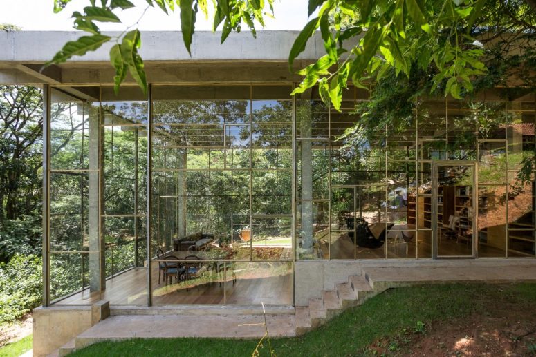 Glass concrete rainforest retreat