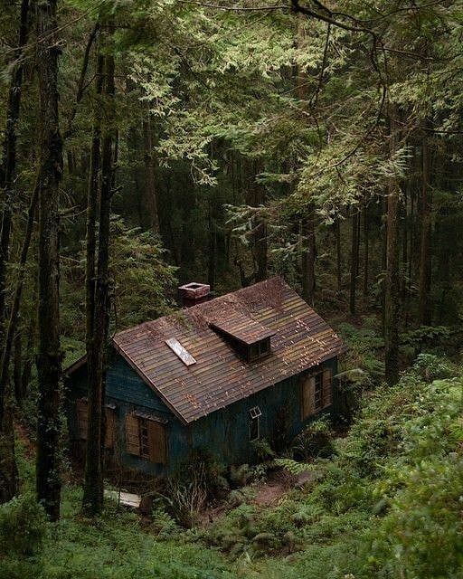 Off grid cabin in the forest