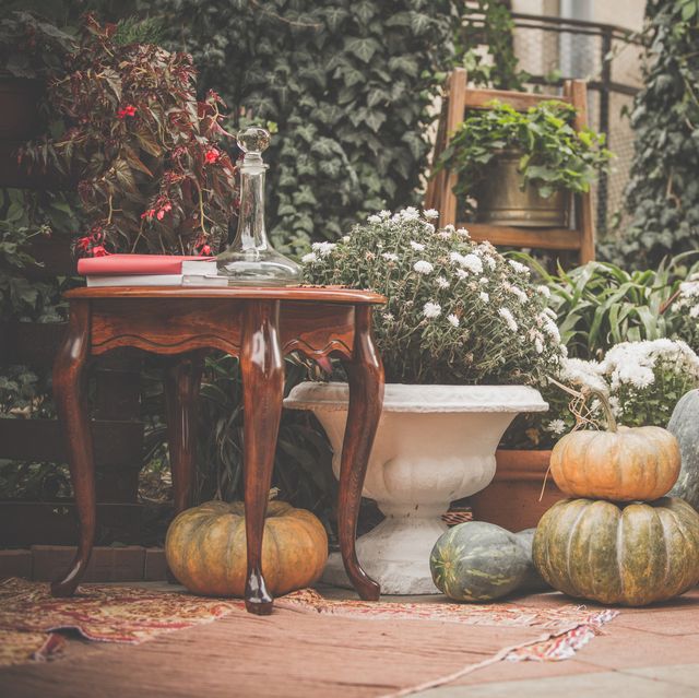 Pumpkin Decor Ideas for Home Fall Decor