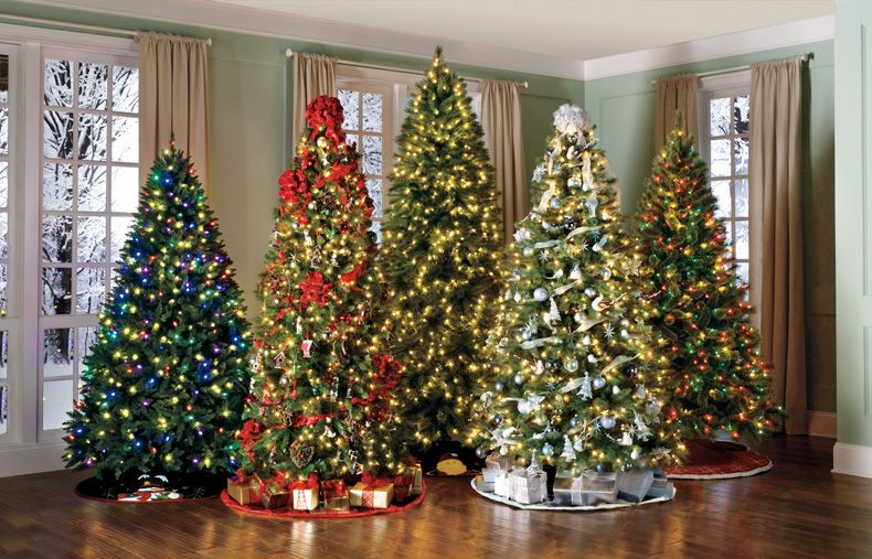 Several Christmas trees ideas