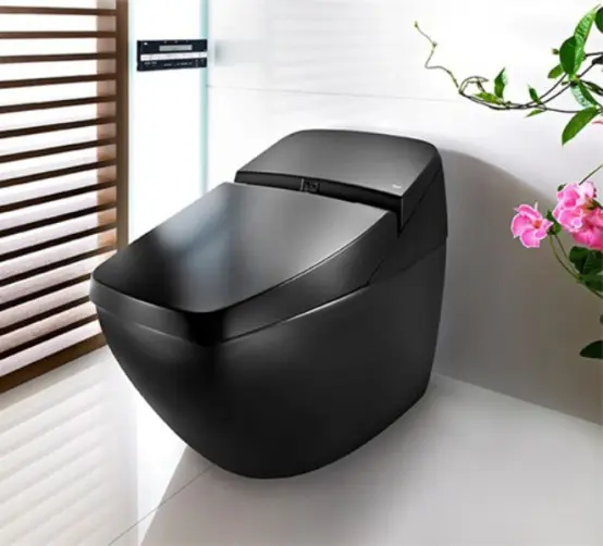 Cool black hi-tech toilet lumen Avant from Roca