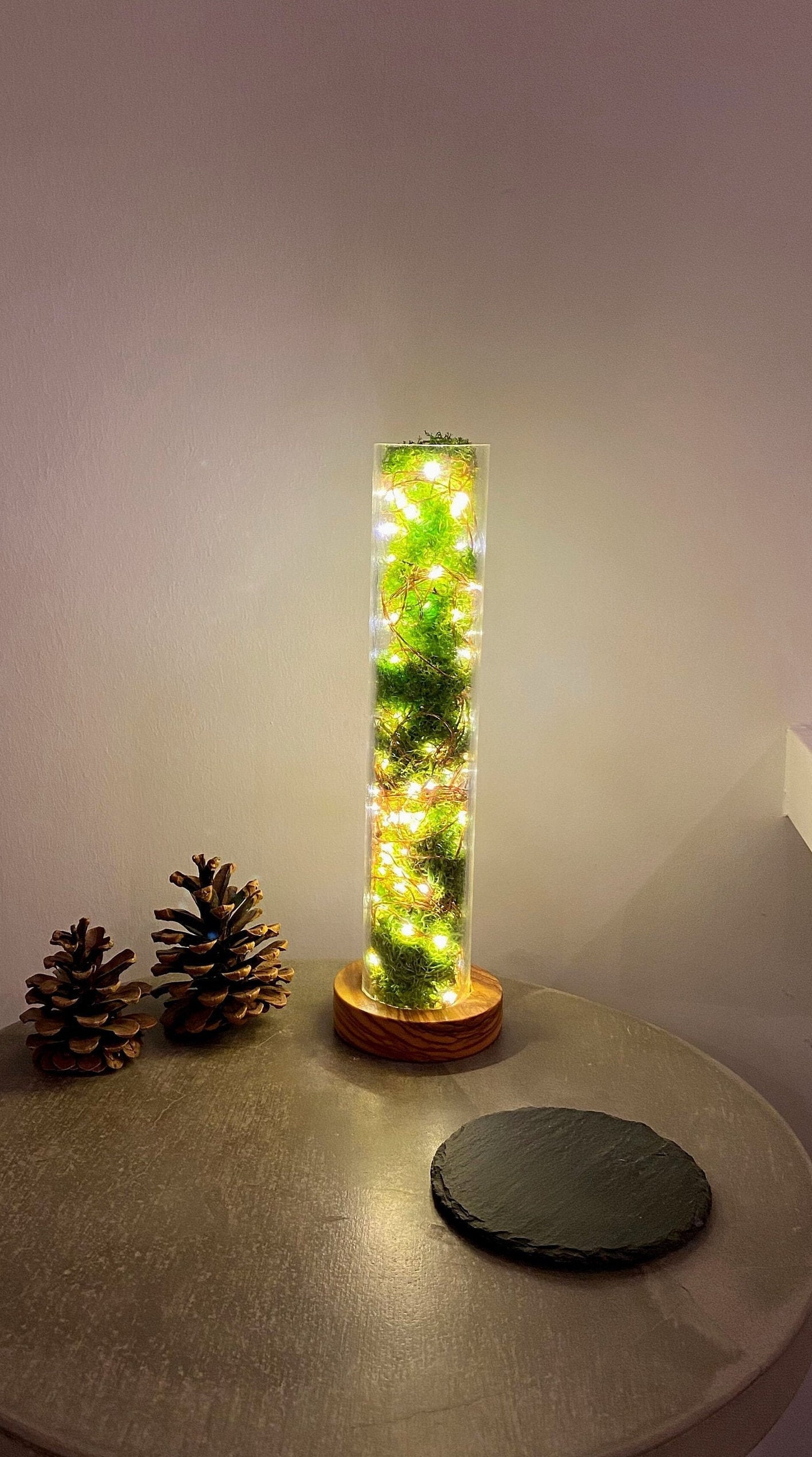 Icelandic moss lamp