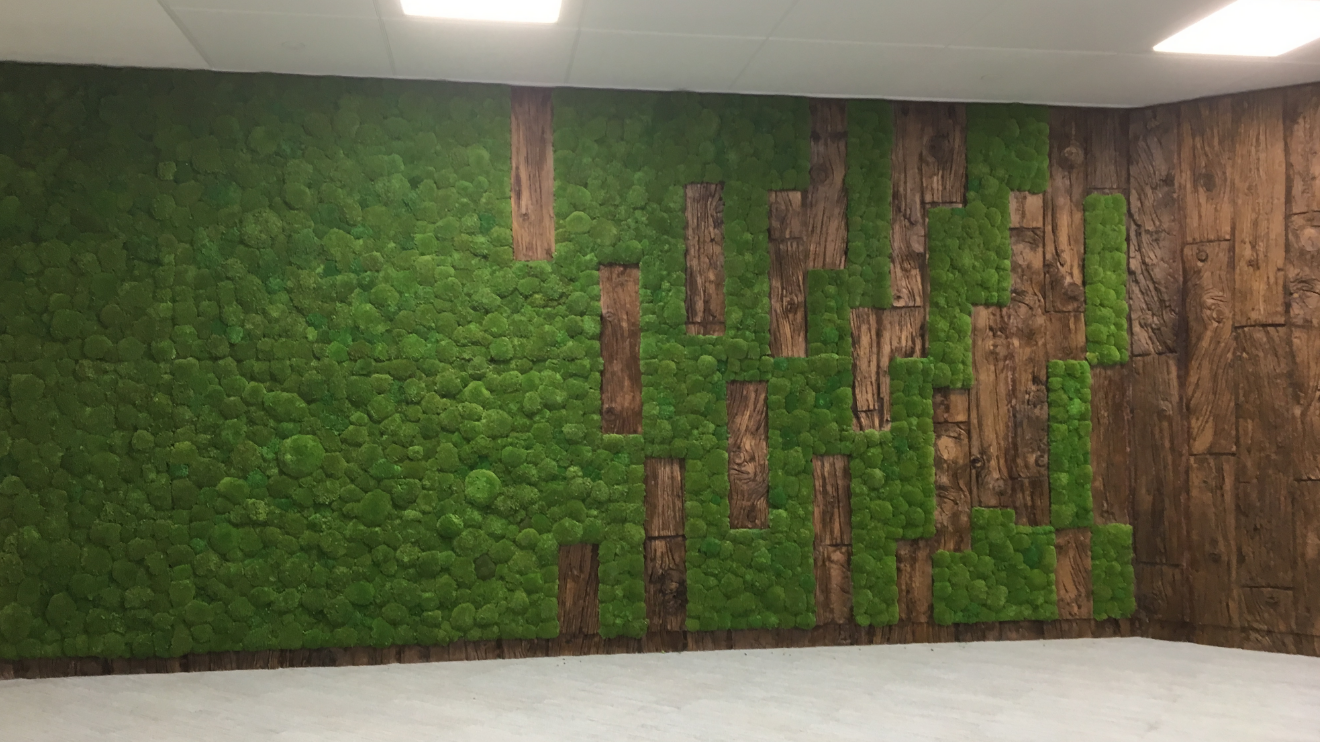 Moss acoustic wall panels