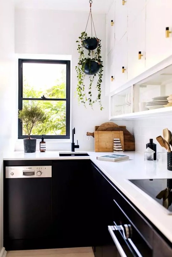a contrasting kitchen with white upper and black lower cabinets, white worktops and black fittings and potted green plants