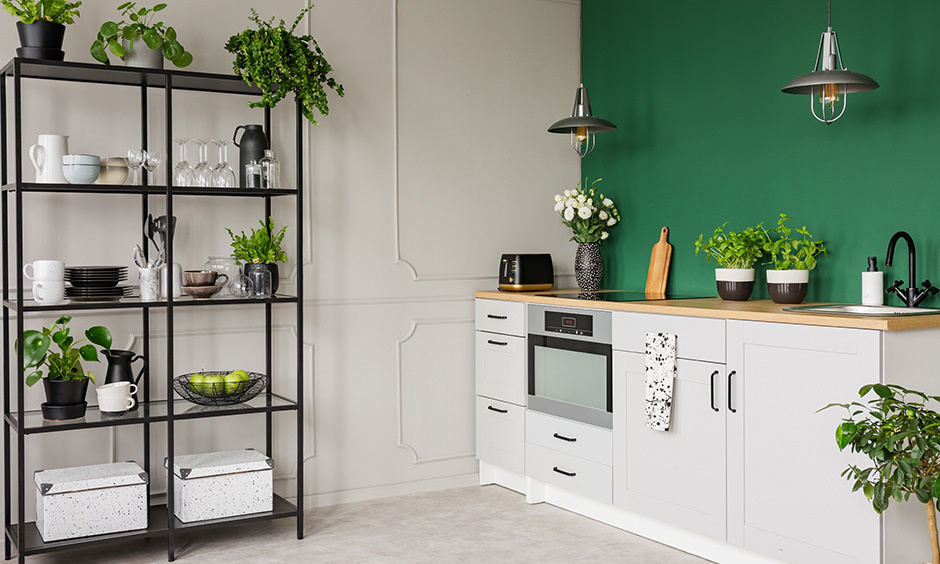 Budget-friendly mini kitchen design for a small house with indoor plants