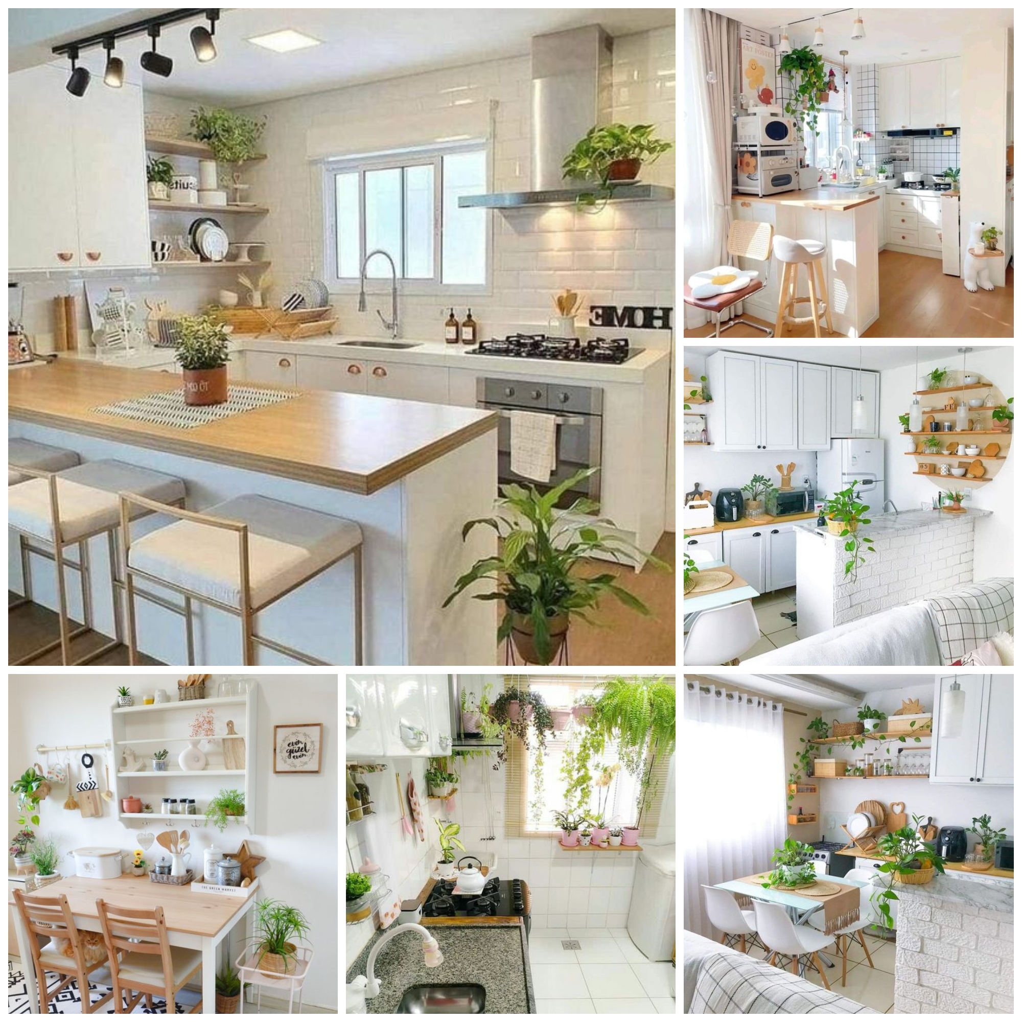 Cool Kitchen Ideas With Tropical Feel