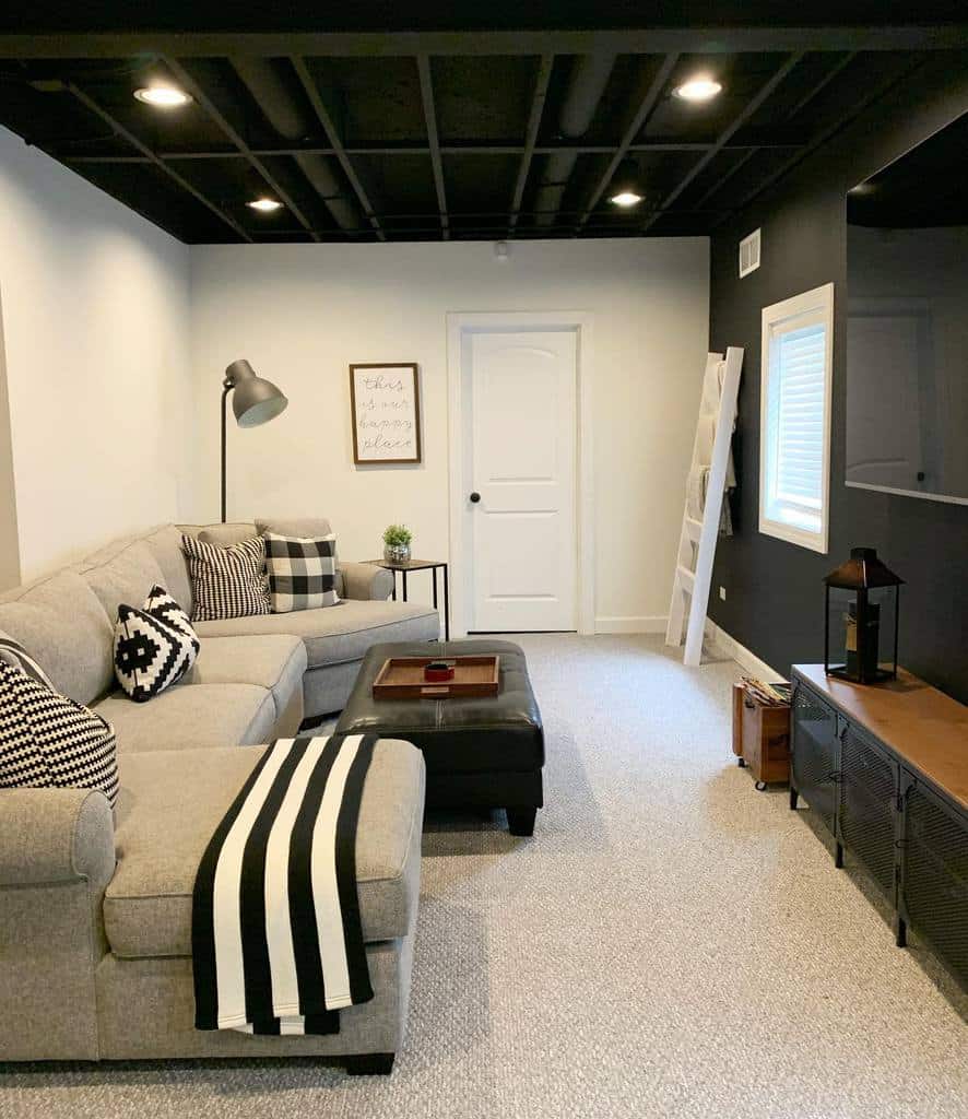 Renovate small basement living space with carpet and gray sofa 