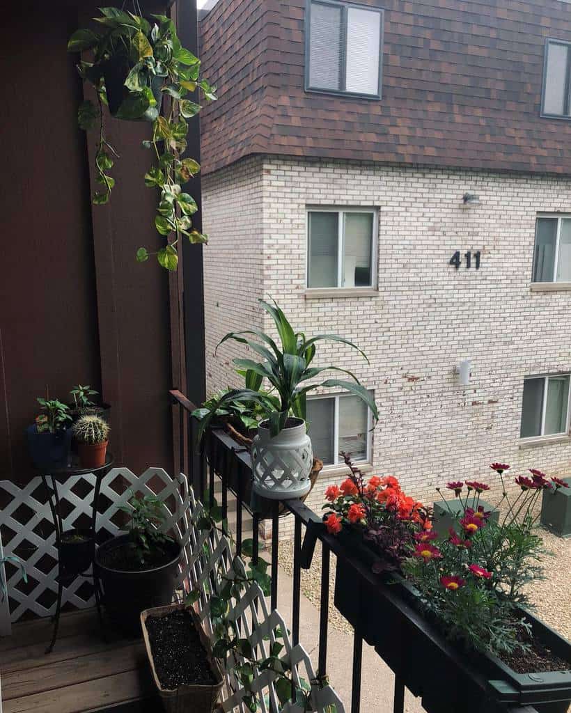 Potted plants on the terrace of the apartment