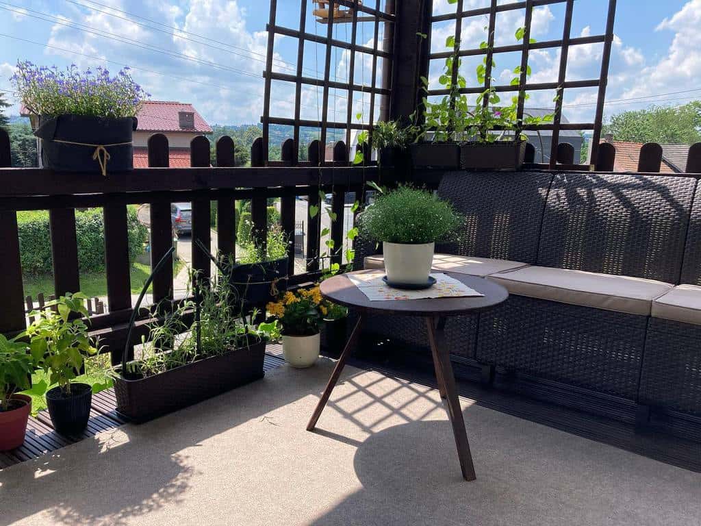 Terrace with plants