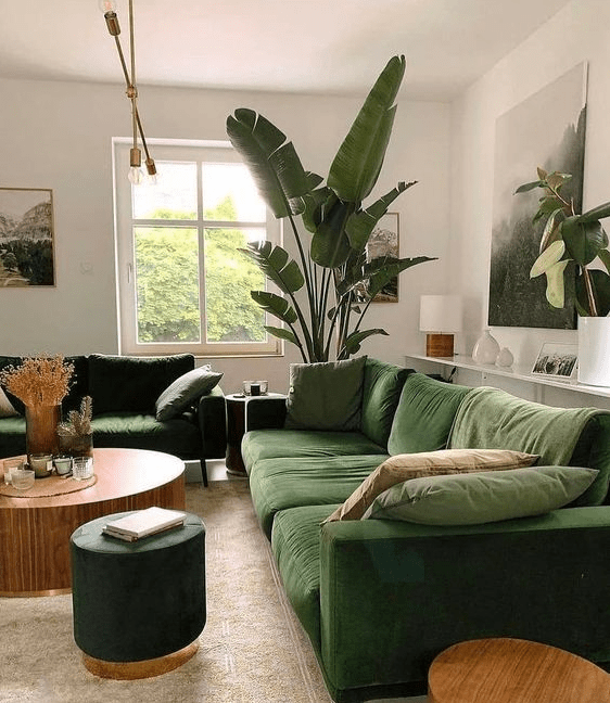 a stylish modern living room with dark green sofas, a coffee table, some stools, potted plants and pretty decorations