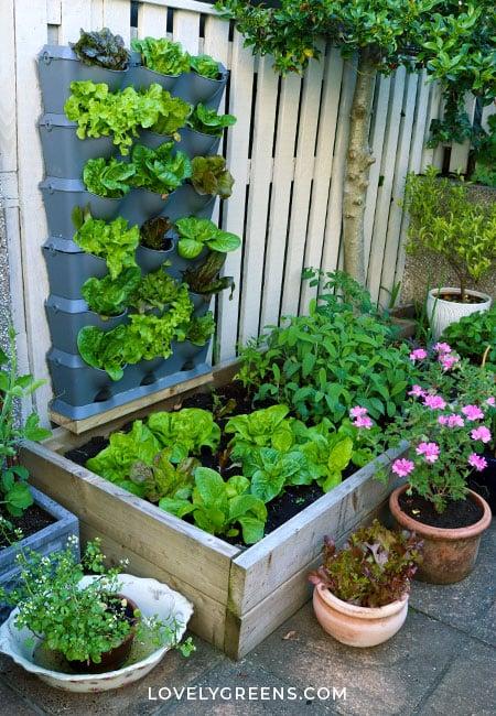 Find space-saving gardening tools specifically for small balcony gardening