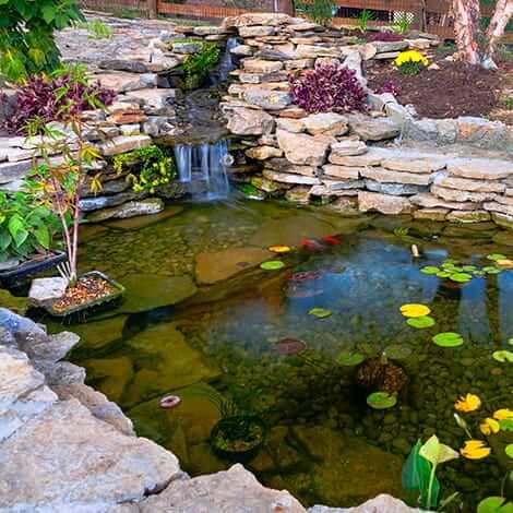 Add a small pond or water feature to enhance your backyard oasis