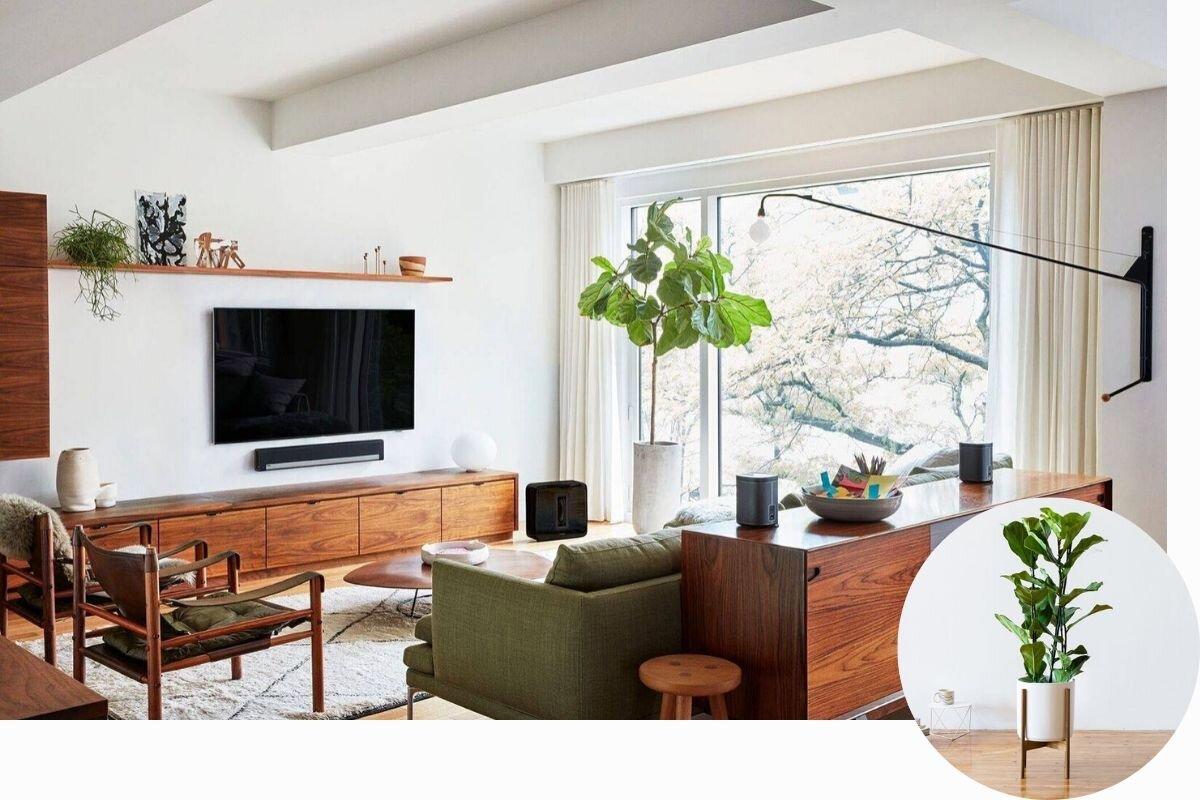 Add indoor plants to infuse freshness into your contemporary living room