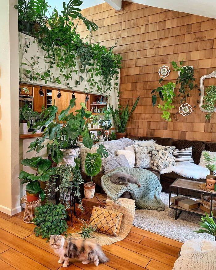 Urban Jungle Living Room: Abundant plants breathe life into your indoor oasis