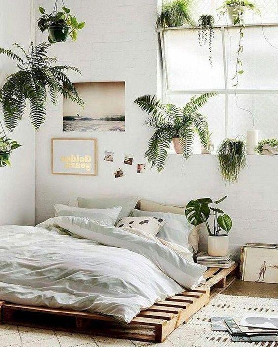Use plants to bring life into your Minimalist Bedroom