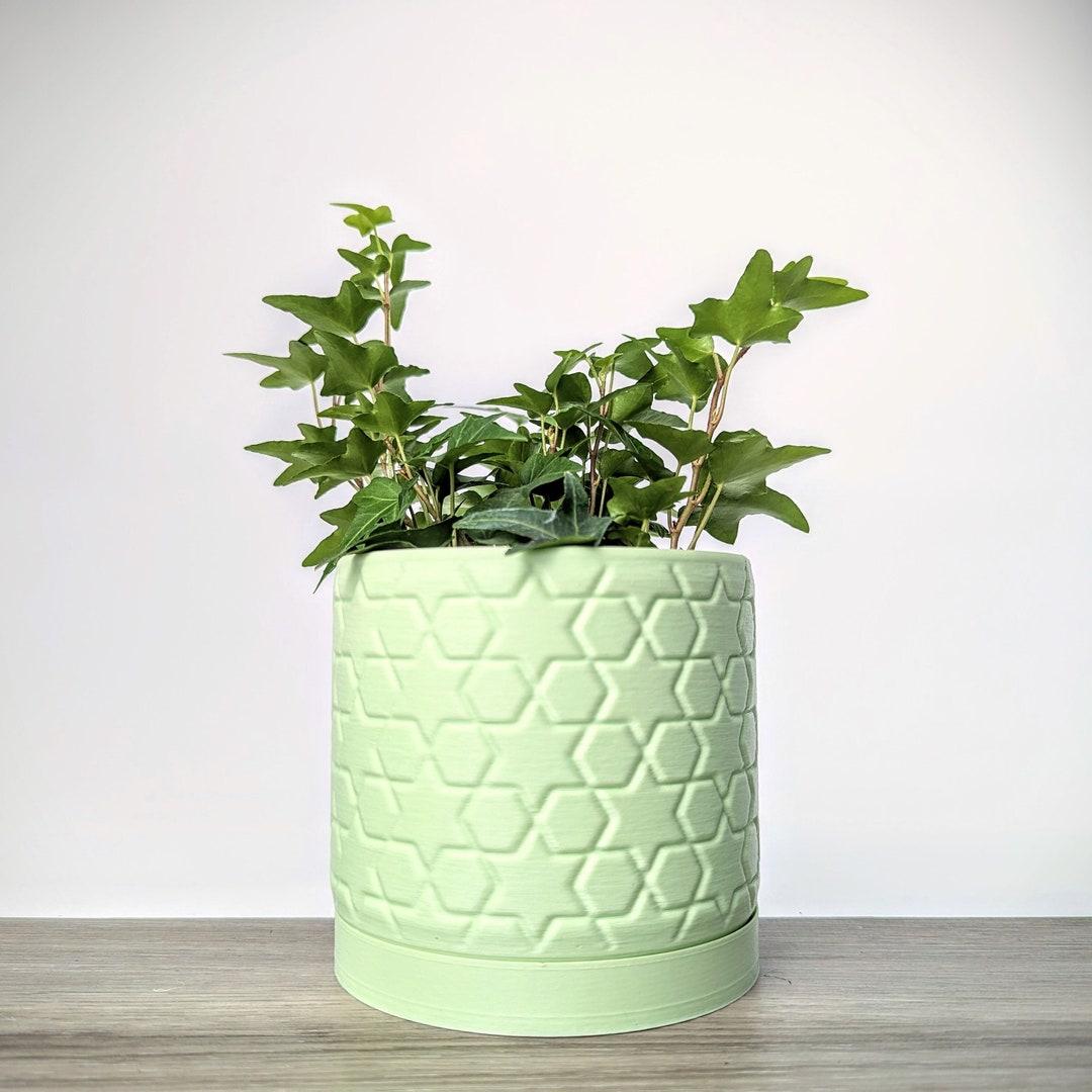 Add greenery with pastel planters for a natural vibe