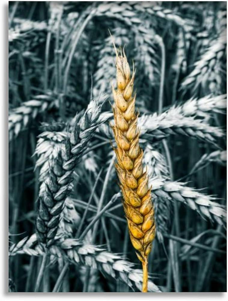 Wheat-themed decor elements celebrate nature in your charming farmhouse bathroom