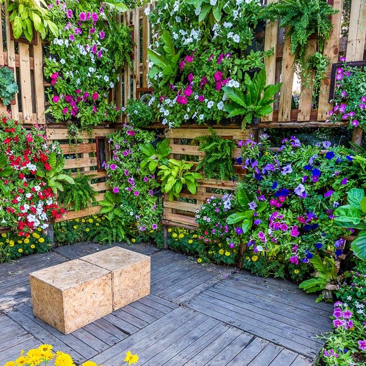 Install vertical gardens for lush greenery in your small backyard