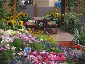 Transform your backyard with vibrant flower beds and native plants