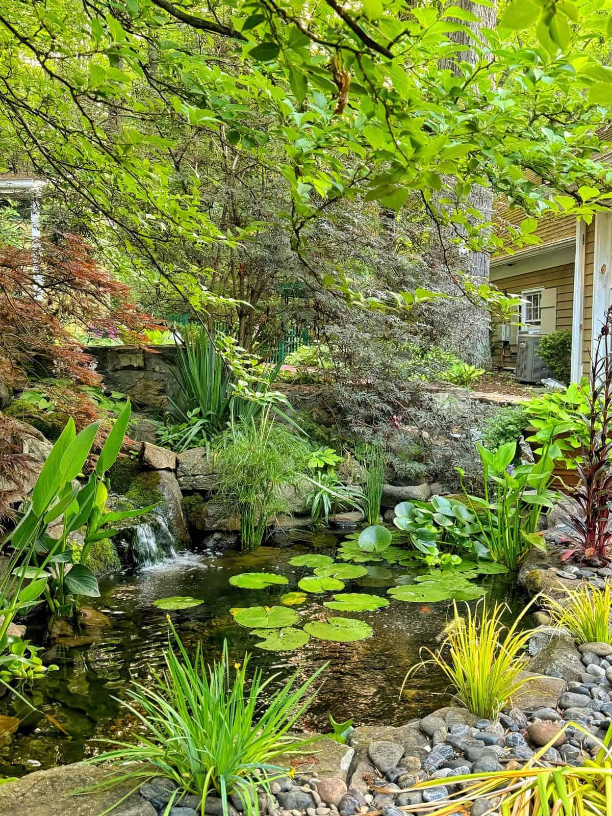 Incorporate a small water feature for tranquility in your small backyard