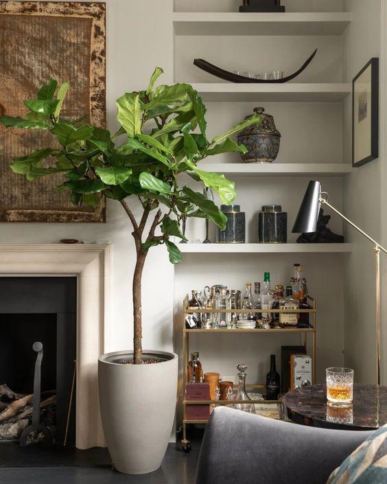 A large indoor plant, like a fiddle leaf fig, elevates your Earthy Living Room
