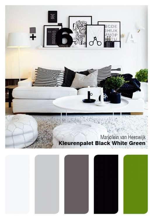 Elegant Monochrome: Sophisticated black and white living room palette