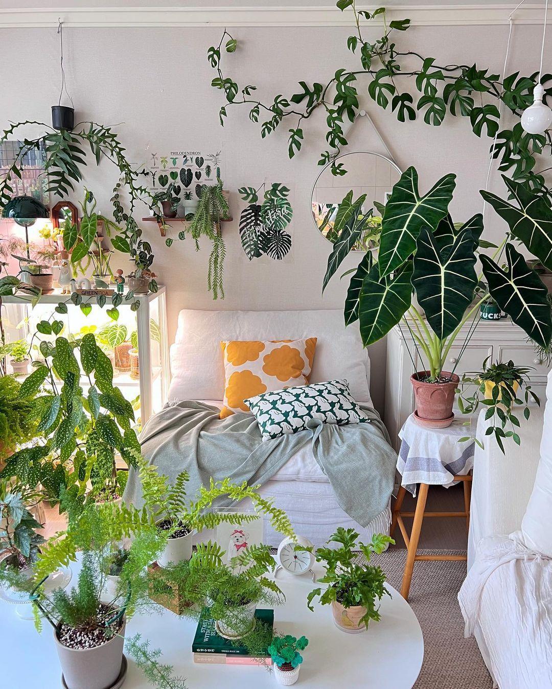 Add indoor plants to breathe life into your earthy living room atmosphere
