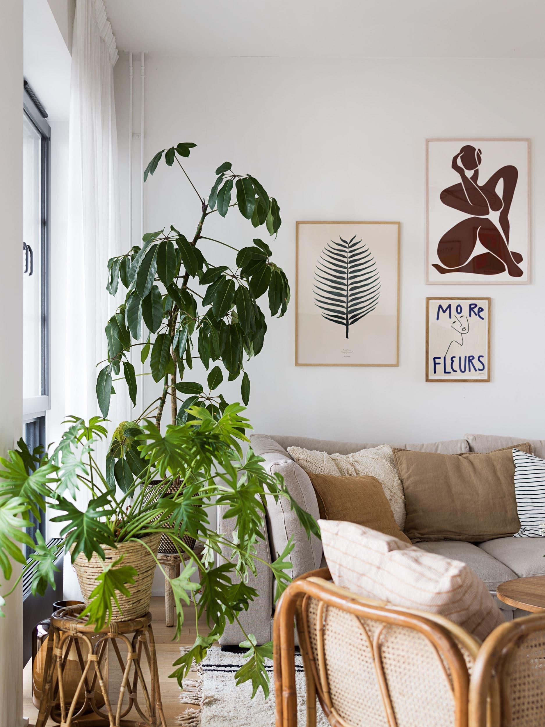 Introduce greenery with indoor plants to⁤ enliven your⁣ Contemporary Living Room environment